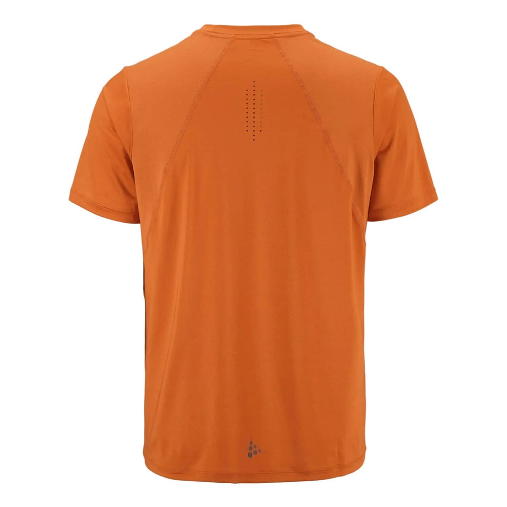 Back view of Craft ADV Essence SS Tee 2 Men's showcasing moisture-wicking construction and athletic fit.