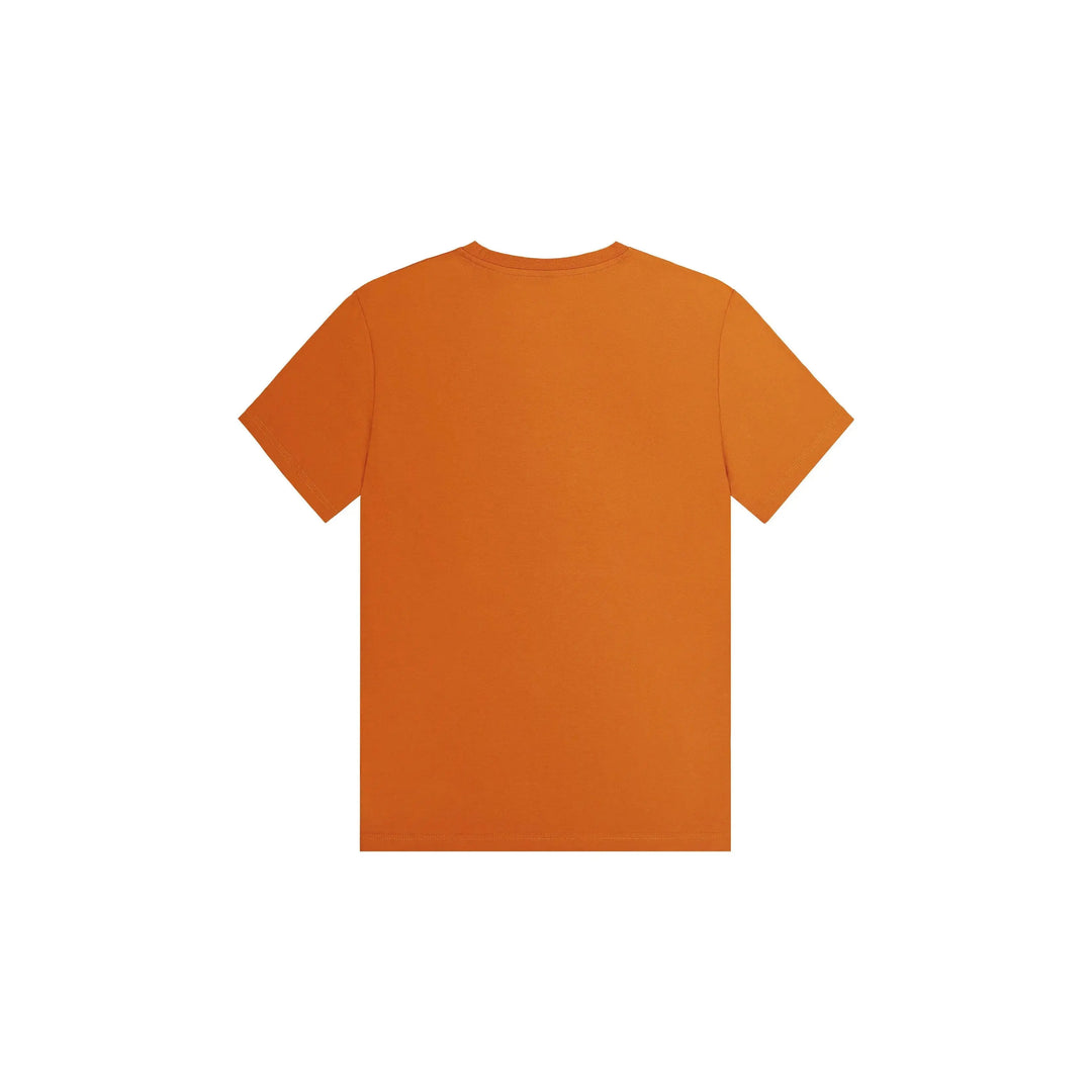 CLISSA TEE -  PICTURE ORGANIC CLOTHING -  SAMPLE DROP
