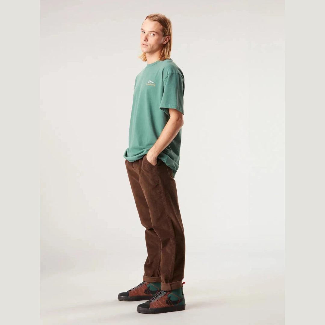 Picture Organic Clothing Norewa Pants - Dark Chocolate - SAMPLE DROP