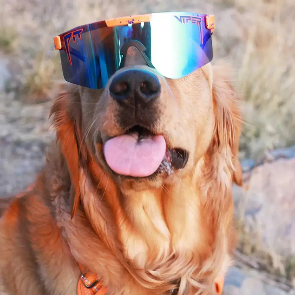 THE CRUSH POLARIZED DW -  Pit Viper -  SAMPLE DROP