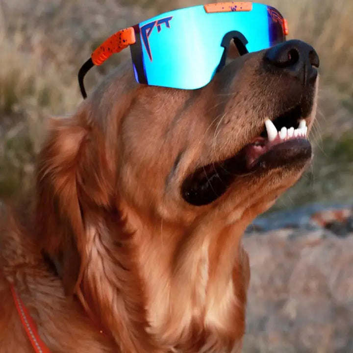 THE CRUSH POLARIZED DW -  Pit Viper -  SAMPLE DROP